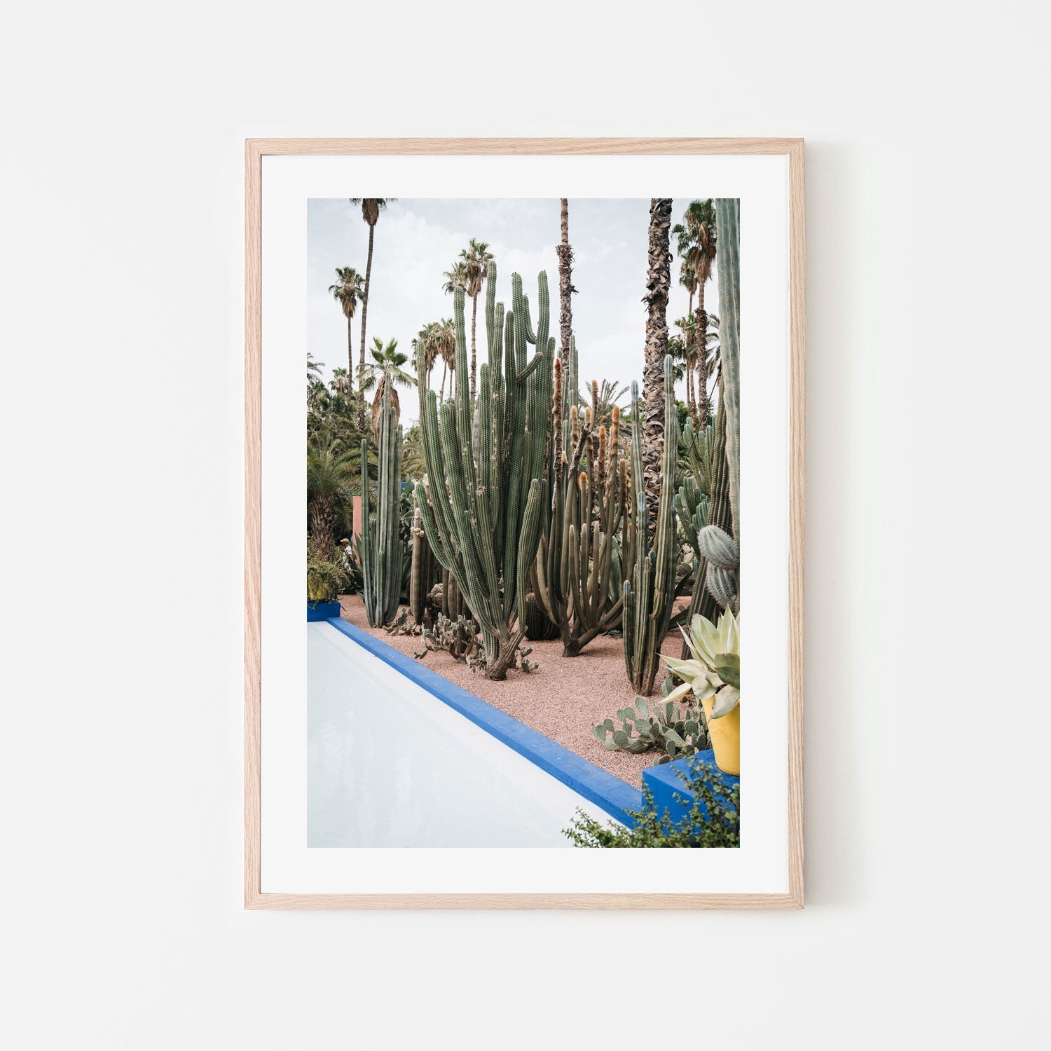 wall-art-print-canvas-poster-framed-Cacti Of Morocco , By Josh Silver-6