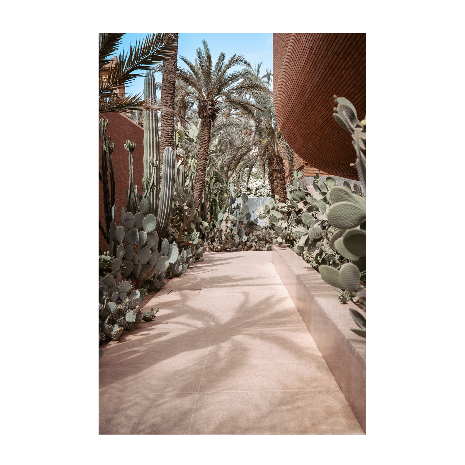 wall-art-print-canvas-poster-framed-Cactus Path , By Josh Silver-1