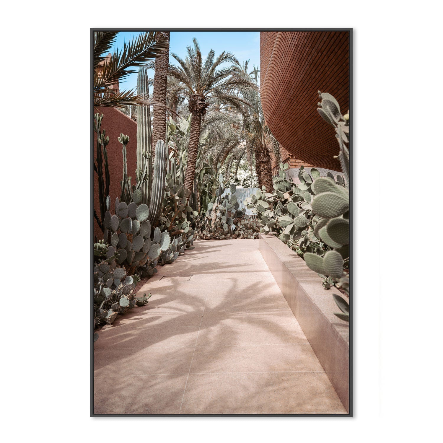 wall-art-print-canvas-poster-framed-Cactus Path , By Josh Silver-3