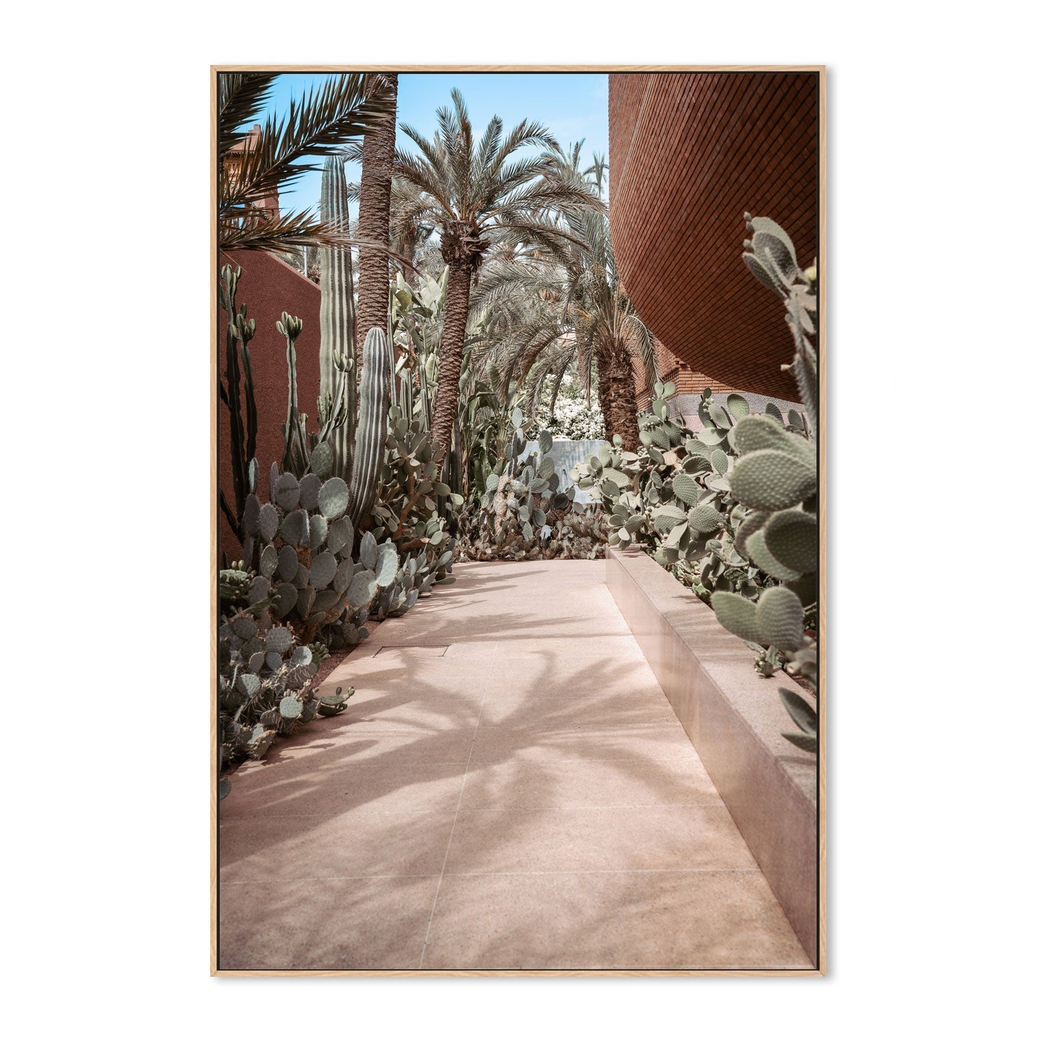 wall-art-print-canvas-poster-framed-Cactus Path , By Josh Silver-4