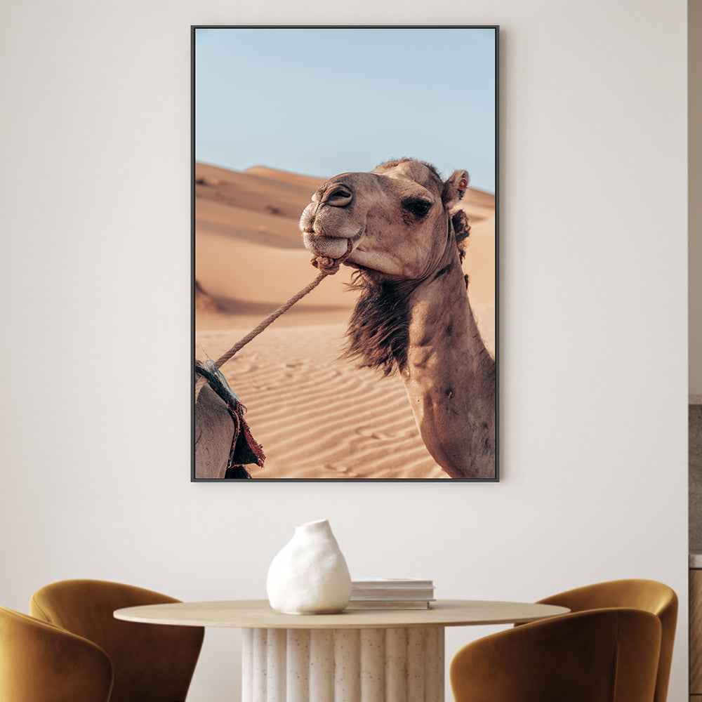 wall-art-print-canvas-poster-framed-Camel's Grace , By Josh Silver-2