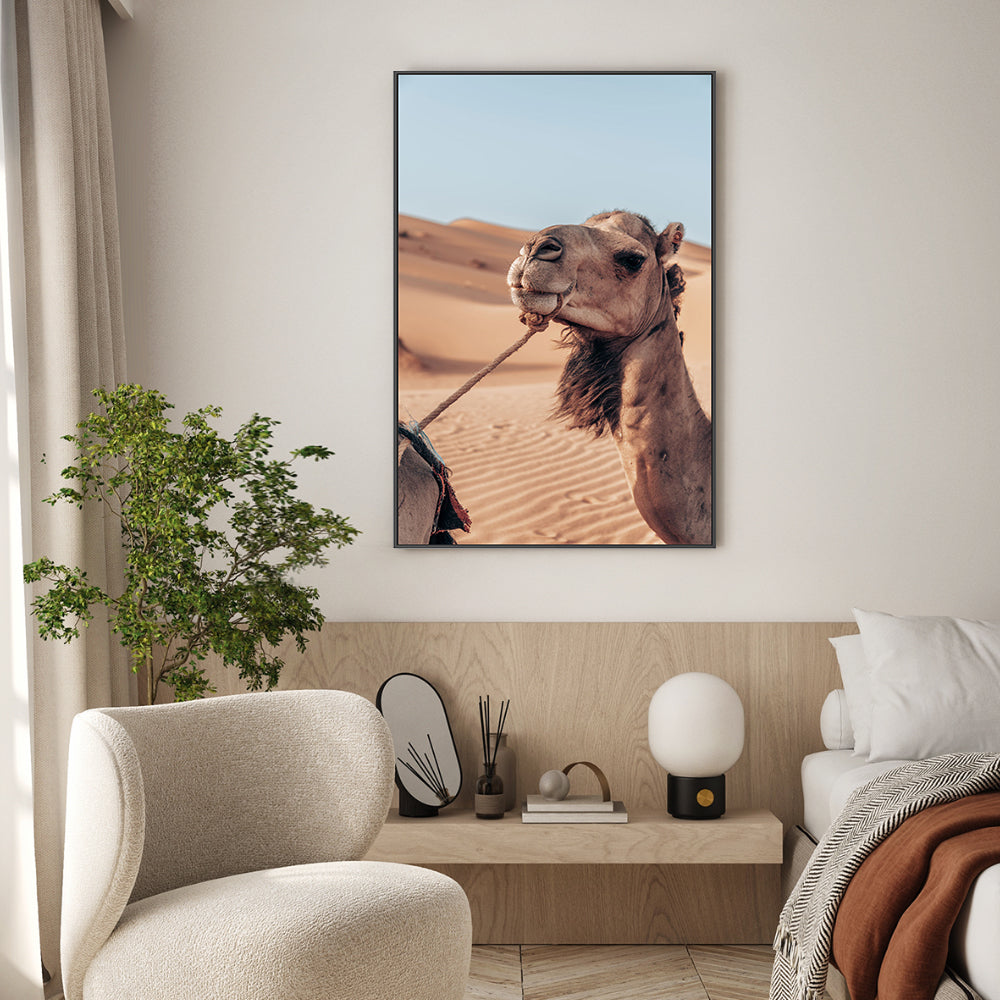 wall-art-print-canvas-poster-framed-Camel's Grace , By Josh Silver-7