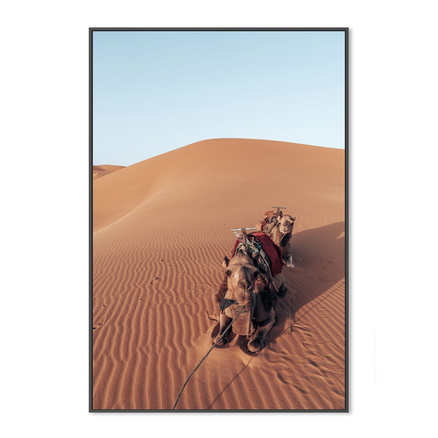 wall-art-print-canvas-poster-framed-Camel's Rest , By Josh Silver-3