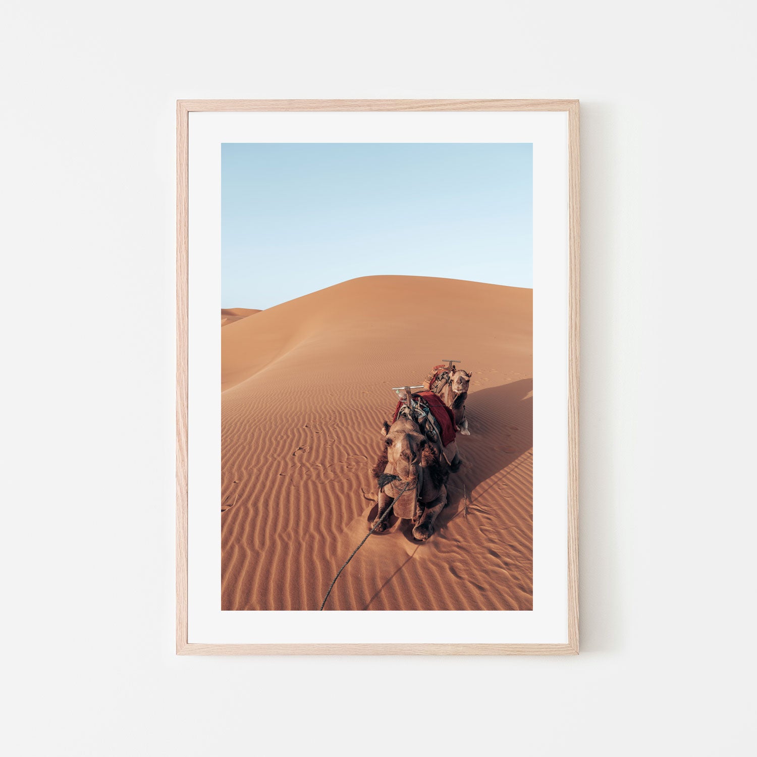 wall-art-print-canvas-poster-framed-Camel's Rest , By Josh Silver-6