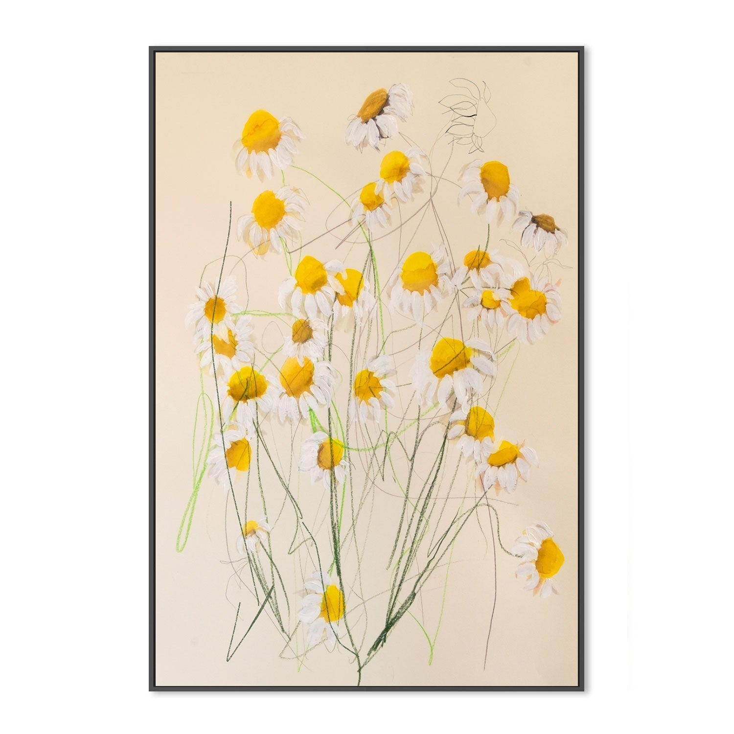 wall-art-print-canvas-poster-framed-Chamomile No.1 , By Leigh Viner-GIOIA-WALL-ART