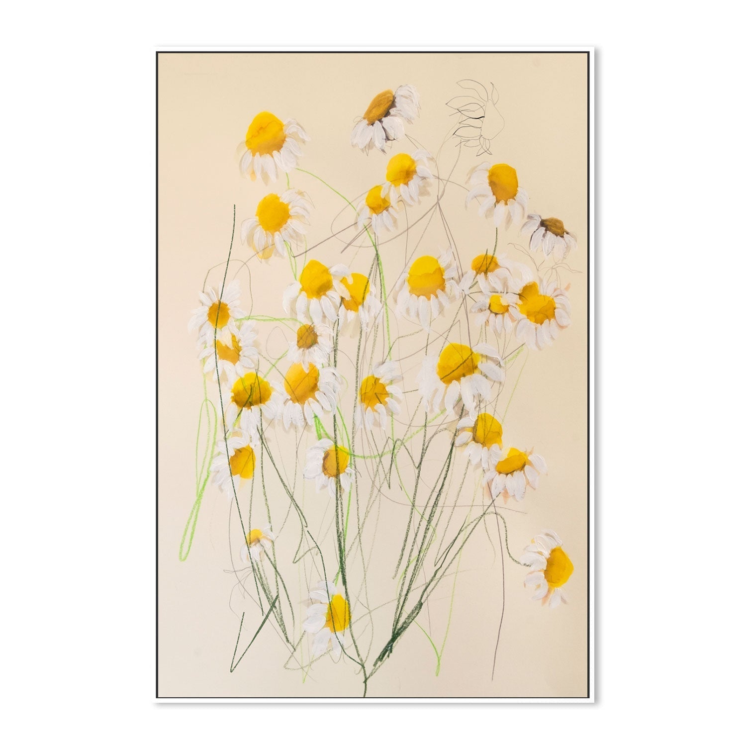 wall-art-print-canvas-poster-framed-Chamomile No.1 , By Leigh Viner-GIOIA-WALL-ART