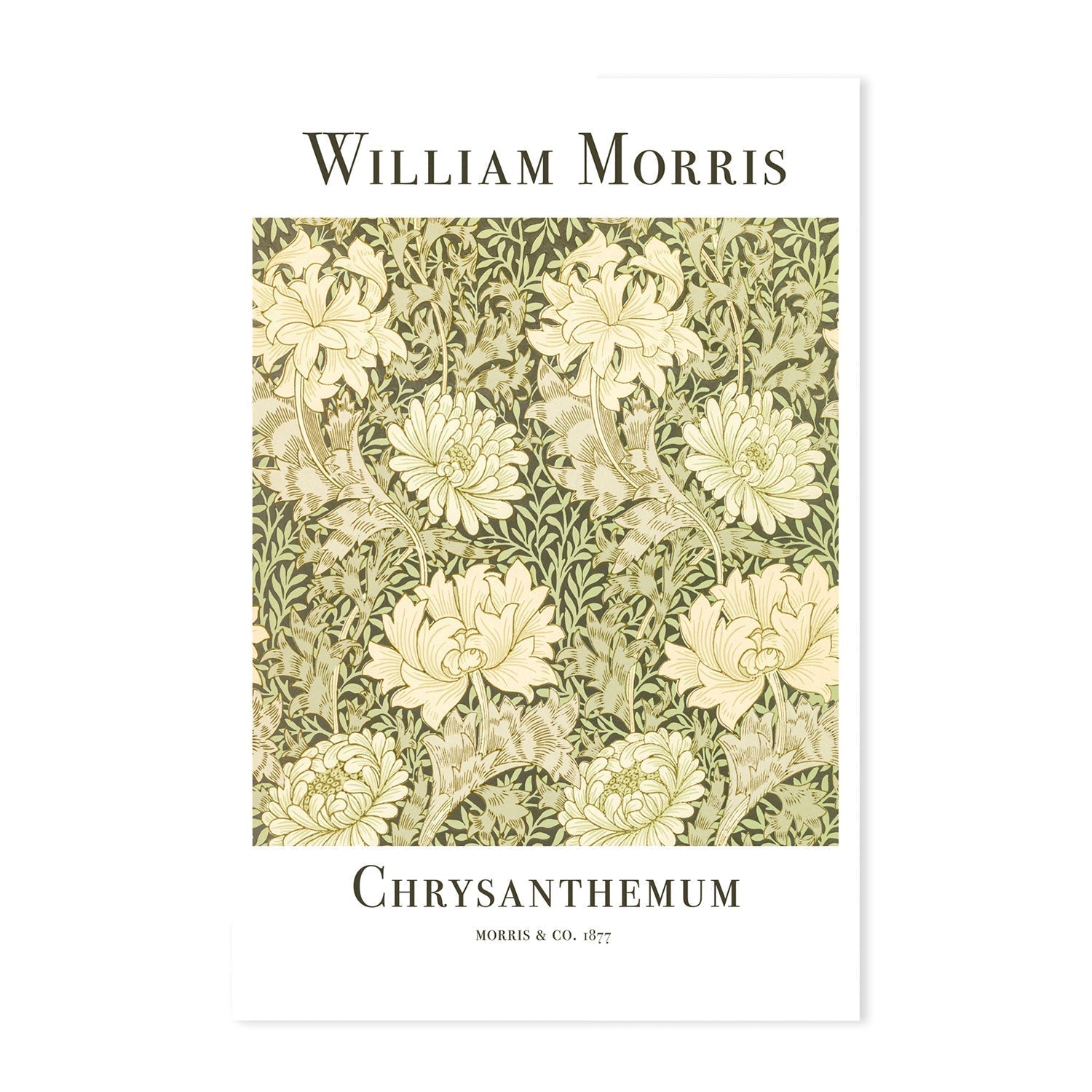 wall-art-print-canvas-poster-framed-Chrysanthemum , By William Morris-GIOIA-WALL-ART