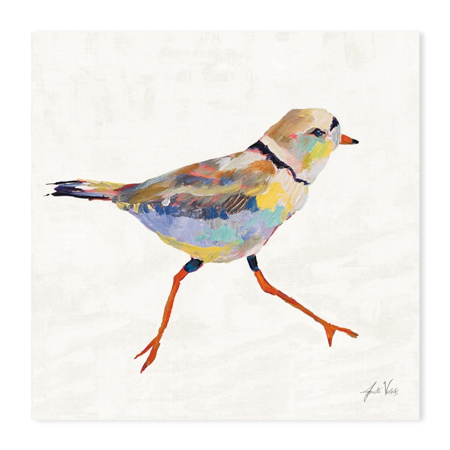 wall-art-print-canvas-poster-framed-Coastal Plover Linen, Style A-by-Jeanette Vertentes-Gioia Wall Art