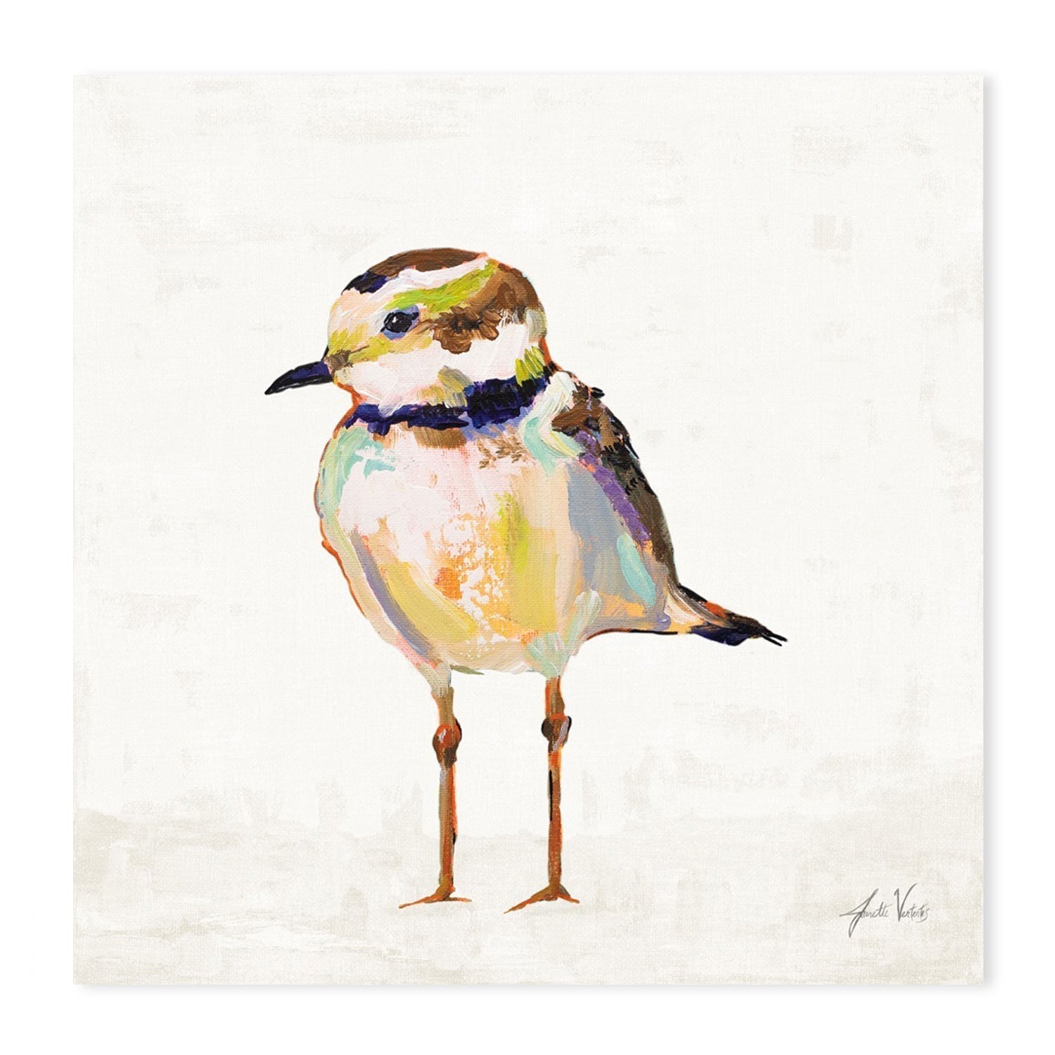 wall-art-print-canvas-poster-framed-Coastal Plover Linen, Style B-by-Jeanette Vertentes-Gioia Wall Art