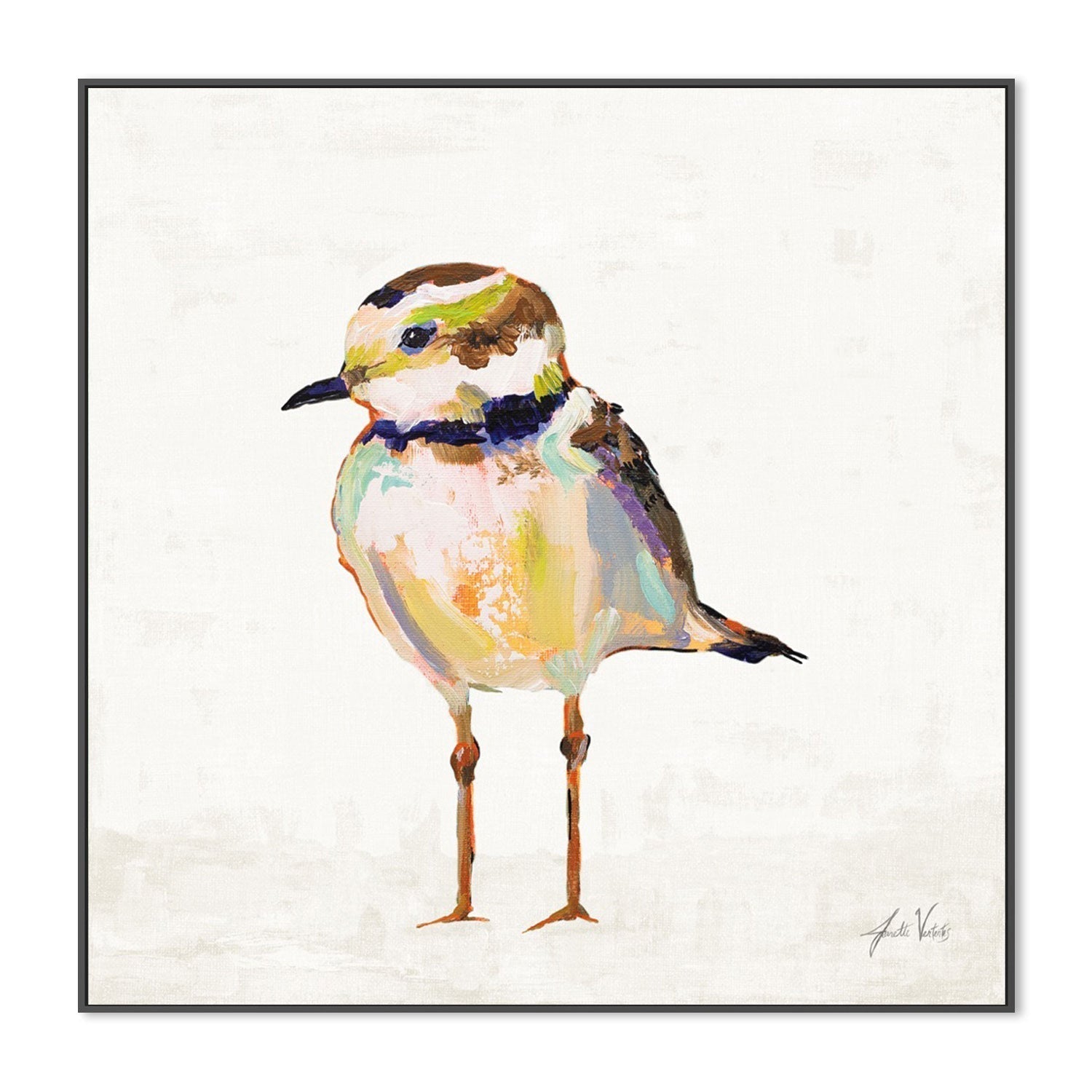 wall-art-print-canvas-poster-framed-Coastal Plover Linen, Style B-by-Jeanette Vertentes-Gioia Wall Art