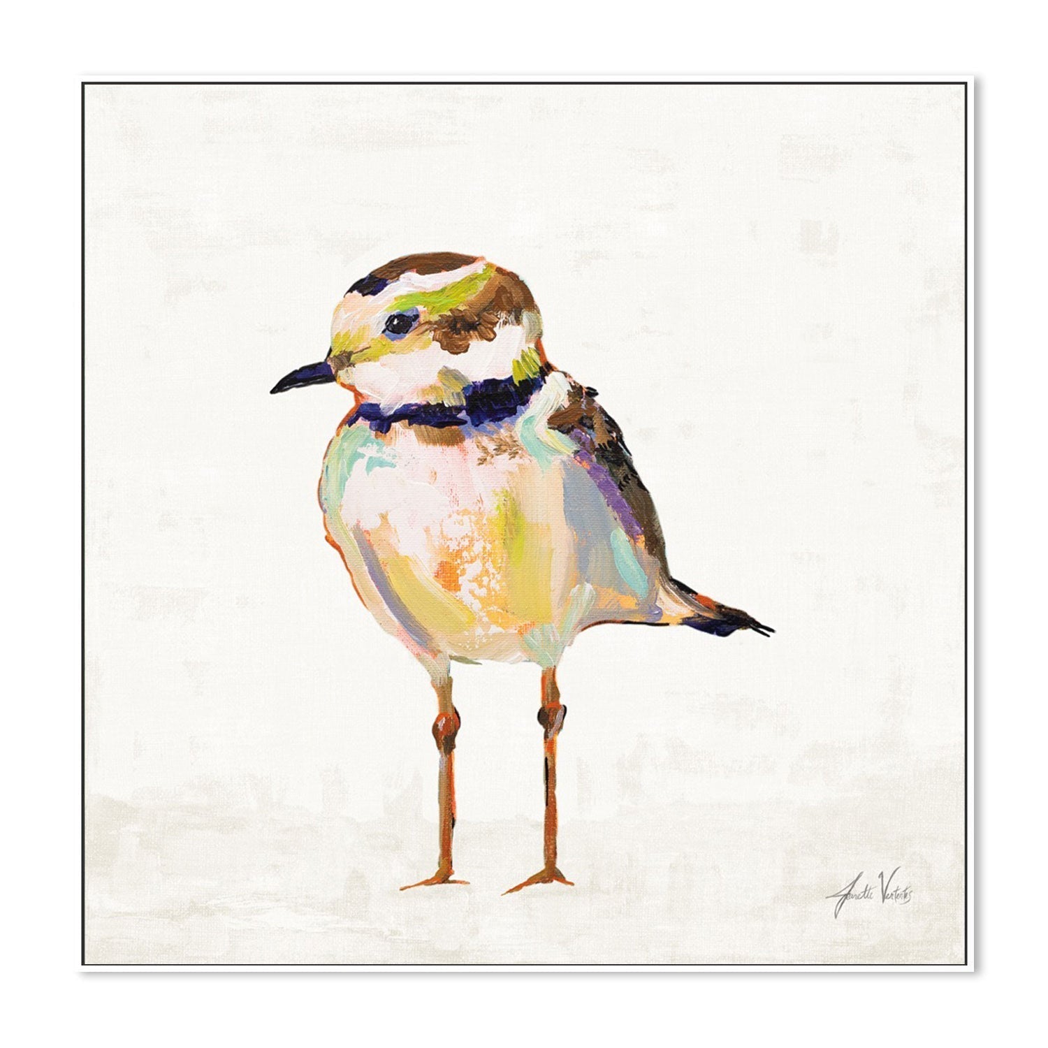 wall-art-print-canvas-poster-framed-Coastal Plover Linen, Style B-by-Jeanette Vertentes-Gioia Wall Art