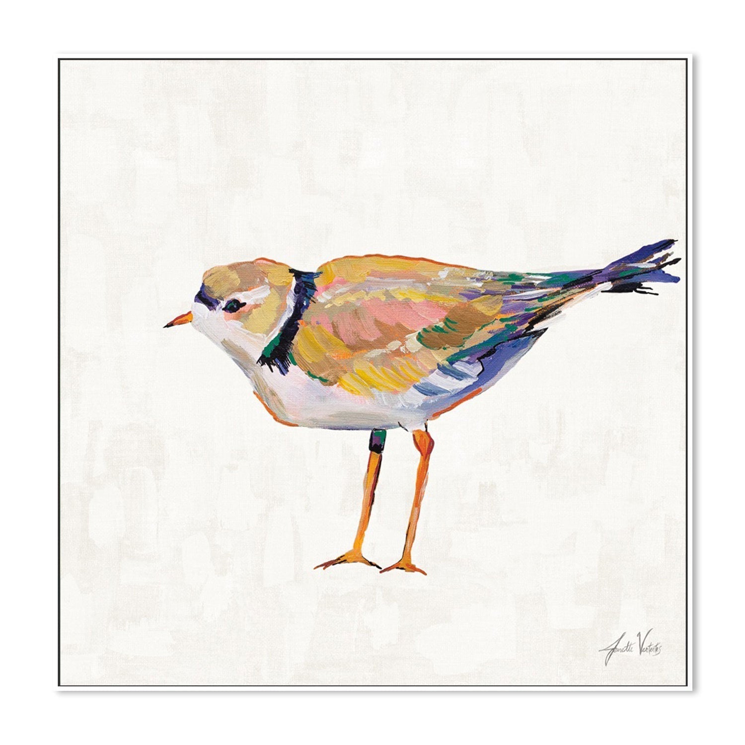 wall-art-print-canvas-poster-framed-Coastal Plover Linen, Style D-by-Jeanette Vertentes-Gioia Wall Art