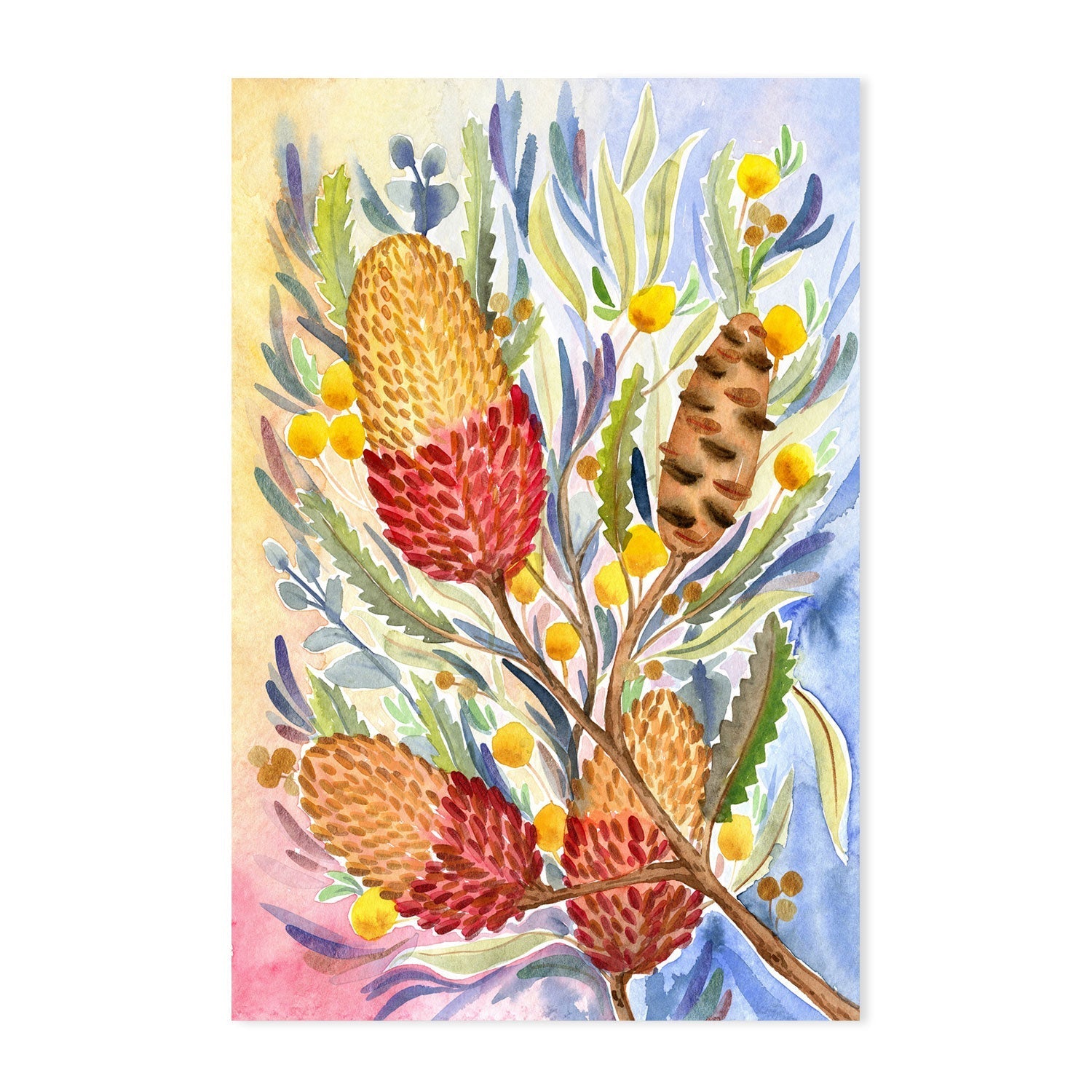 Colourful Banksia Bunch , By Jessie Mitchelson