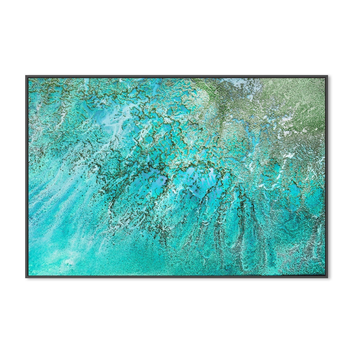 wall-art-print-canvas-poster-framed-Coral Kingdom , By Petra Meikle-3