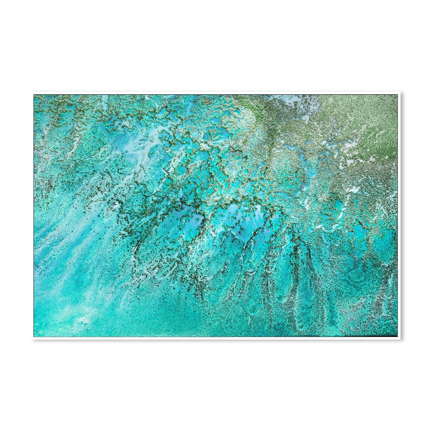 wall-art-print-canvas-poster-framed-Coral Kingdom , By Petra Meikle-5