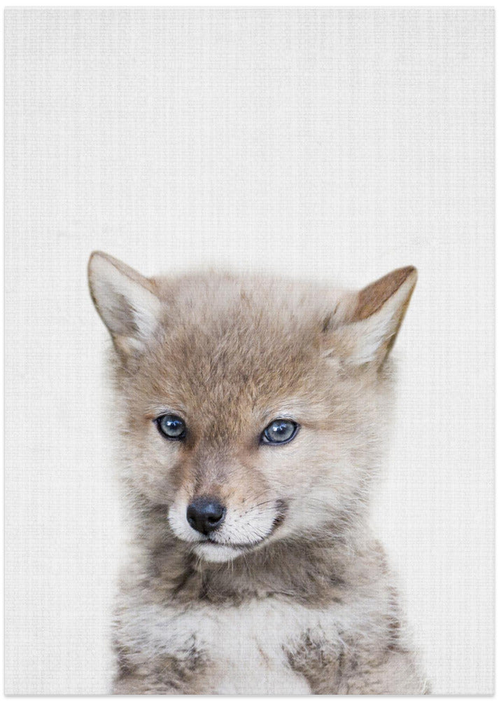 wall-art-print-canvas-poster-framed-Coyote , By Lola Peacock-1