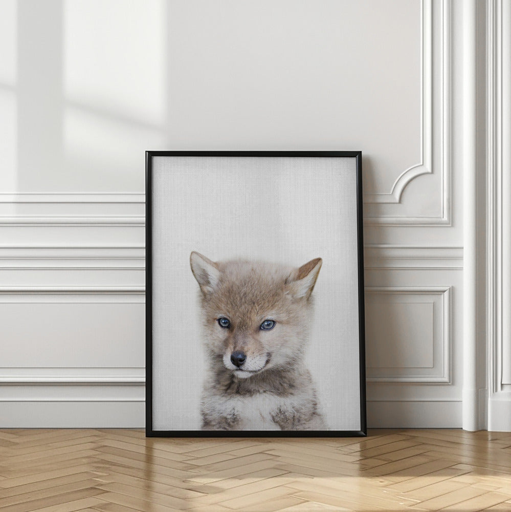 wall-art-print-canvas-poster-framed-Coyote , By Lola Peacock-2