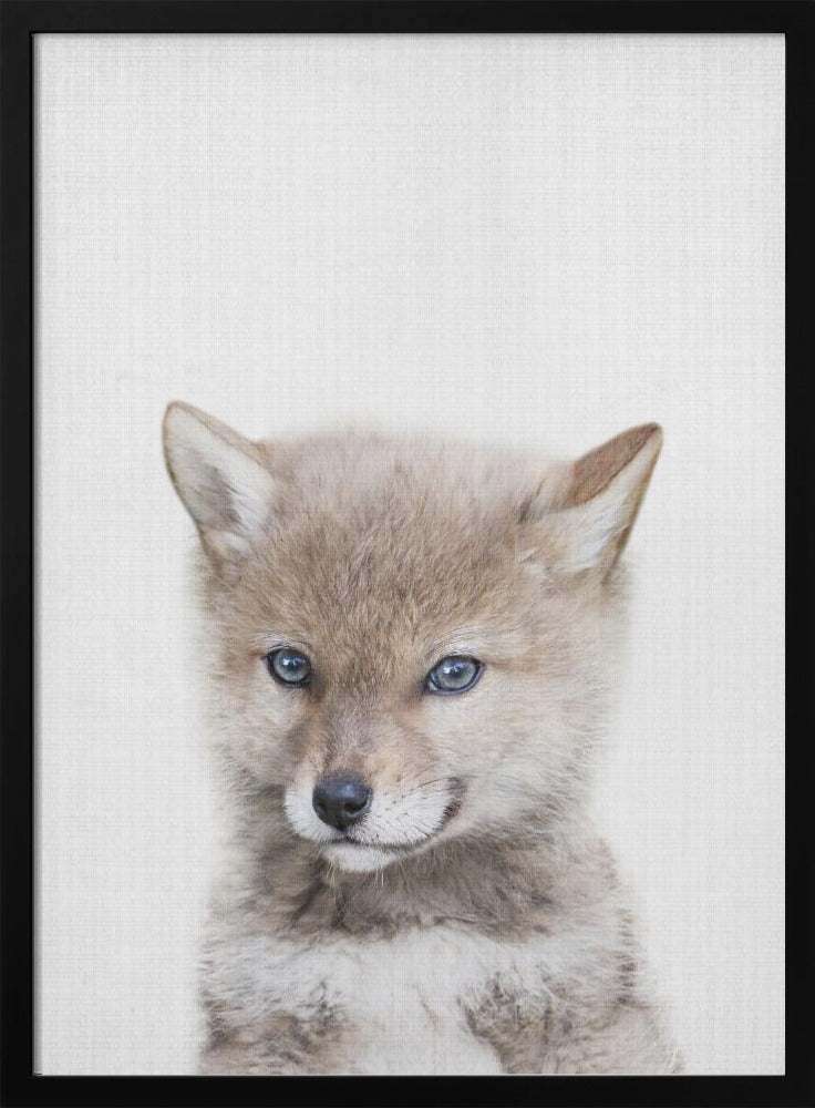 wall-art-print-canvas-poster-framed-Coyote , By Lola Peacock-3