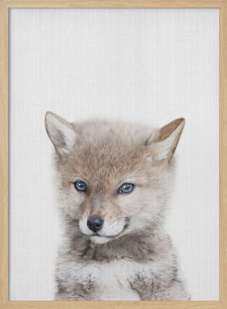 wall-art-print-canvas-poster-framed-Coyote , By Lola Peacock-4