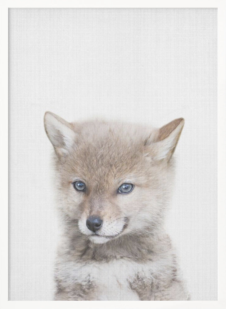 wall-art-print-canvas-poster-framed-Coyote , By Lola Peacock-5