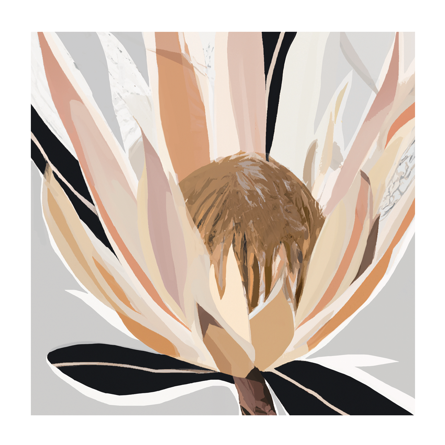 wall-art-print-canvas-poster-framed-Crema Grey Protea , By Stacey Williams-1