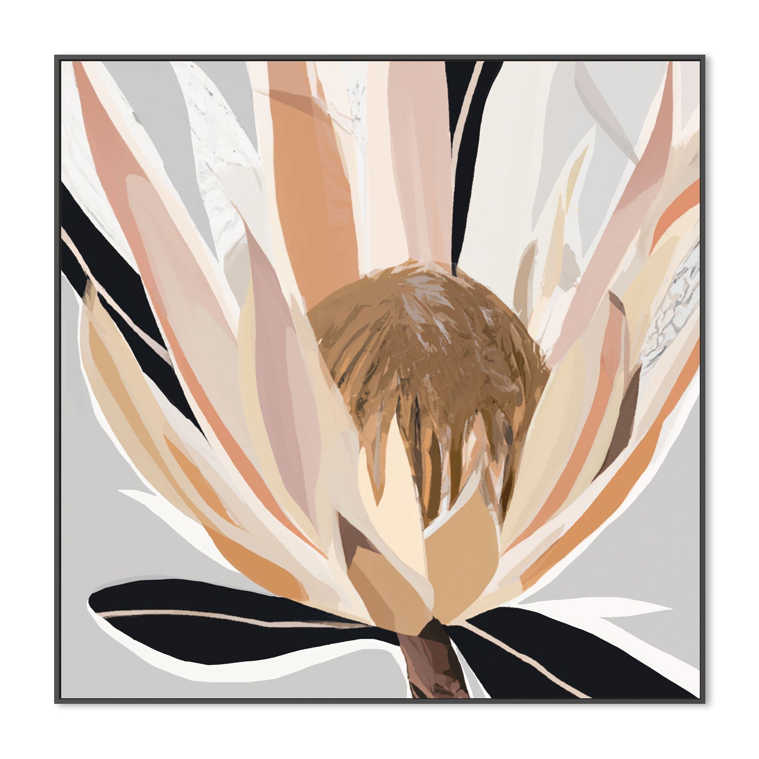 wall-art-print-canvas-poster-framed-Crema Grey Protea , By Stacey Williams-3