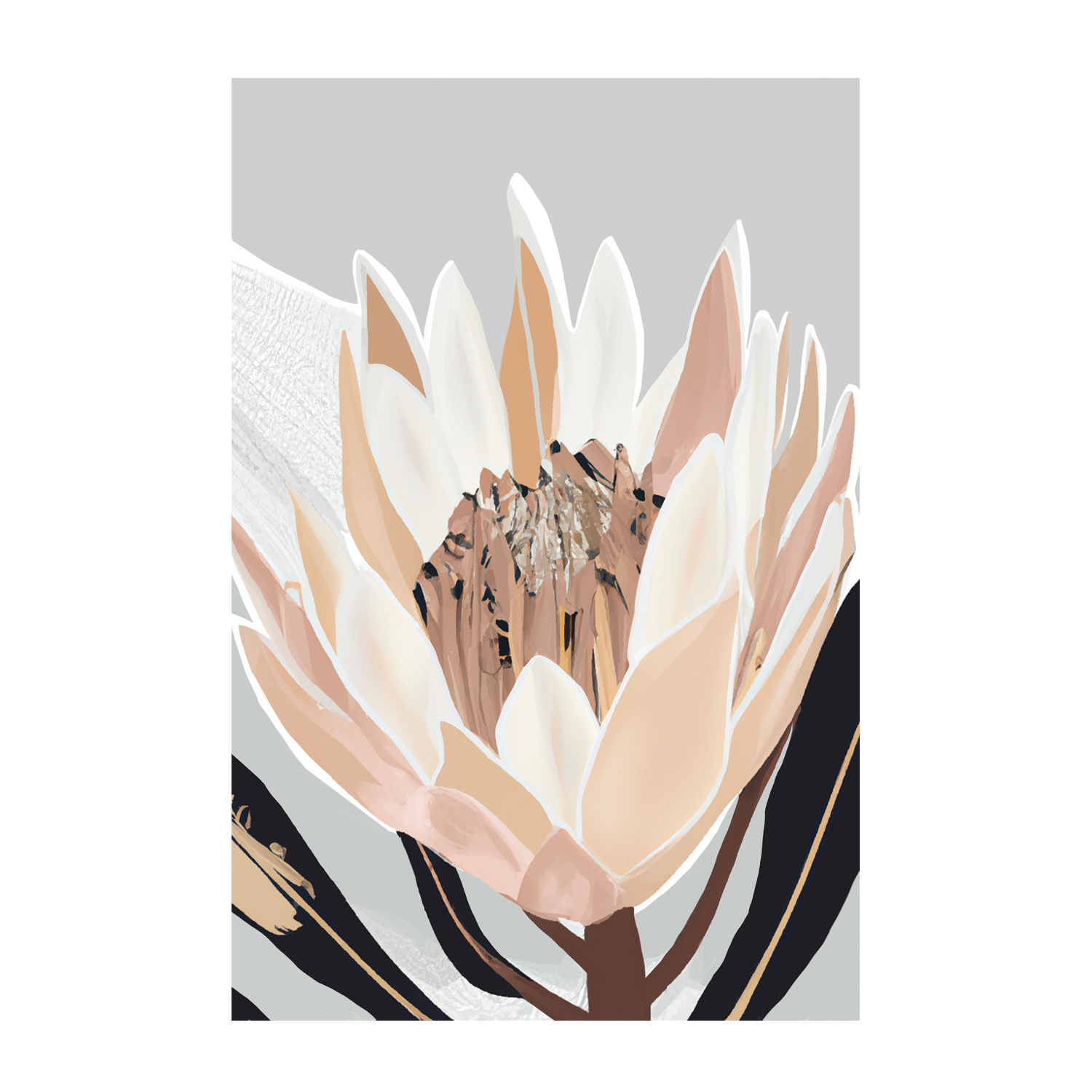 wall-art-print-canvas-poster-framed-Crema Silver Protea , By Stacey Williams-1