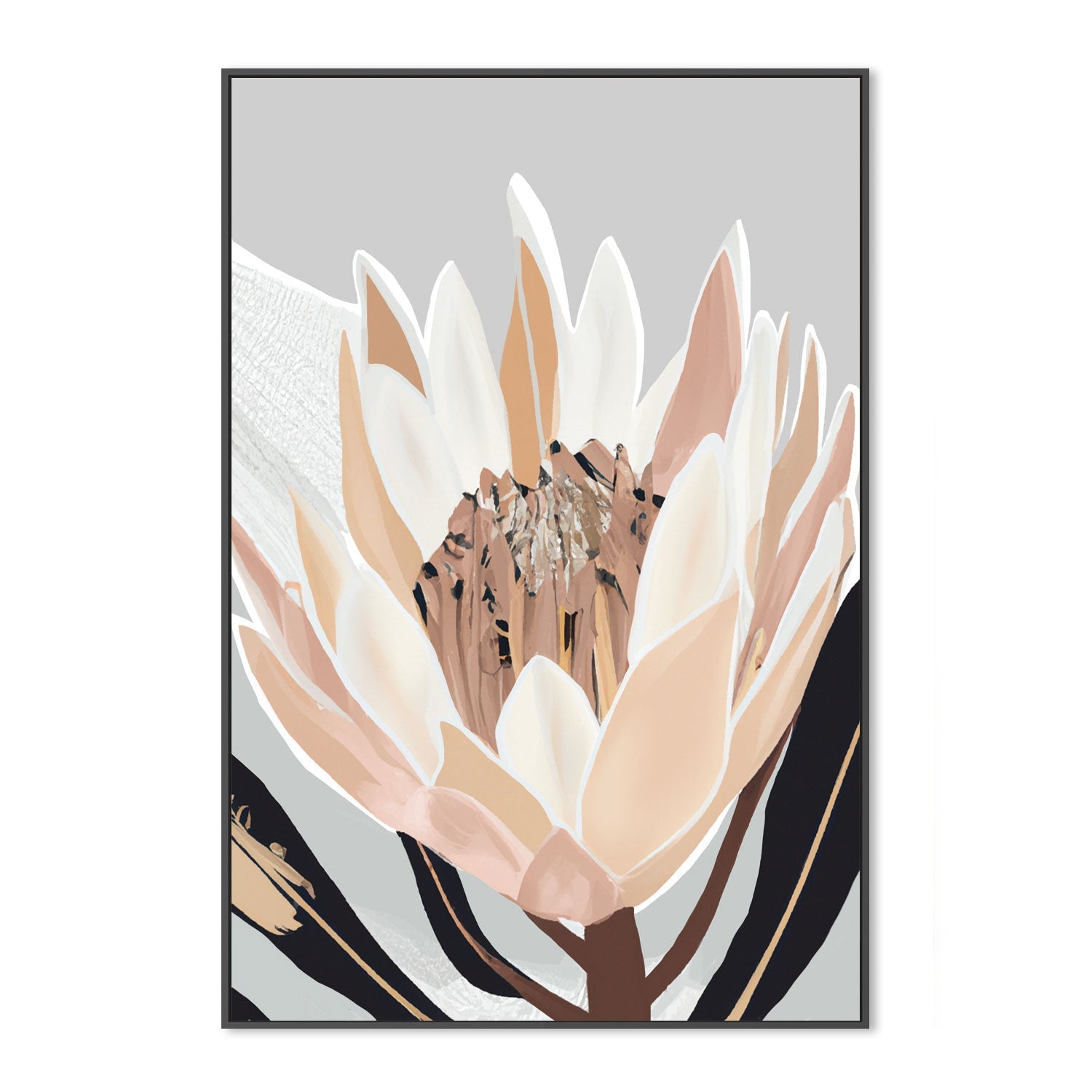 wall-art-print-canvas-poster-framed-Crema Silver Protea , By Stacey Williams-3