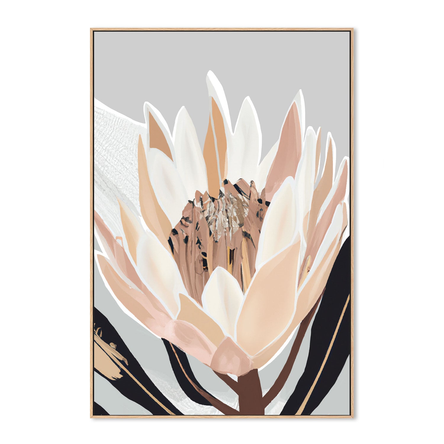 wall-art-print-canvas-poster-framed-Crema Silver Protea , By Stacey Williams-4