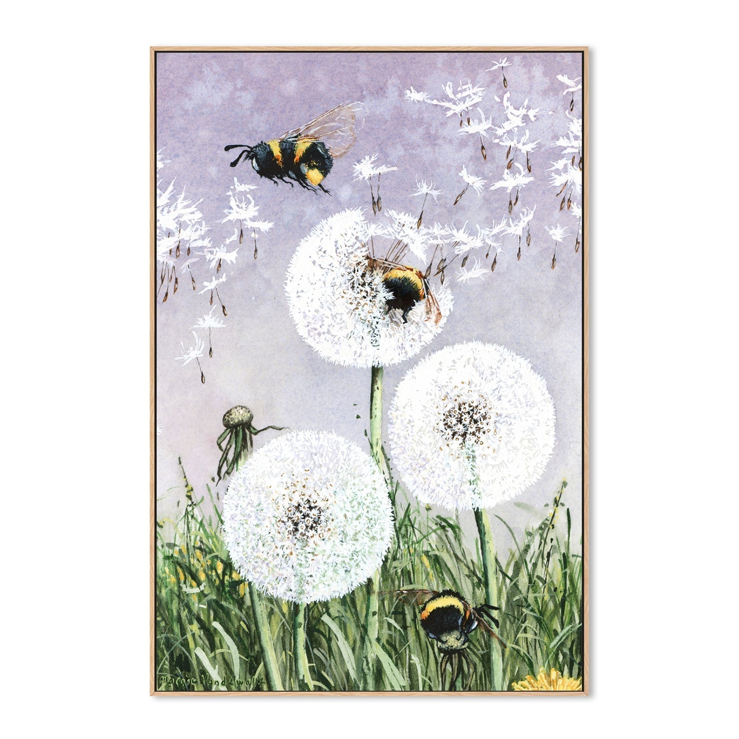 wall-art-print-canvas-poster-framed-Dandybees , By Maggie Vandewalle-GIOIA-WALL-ART