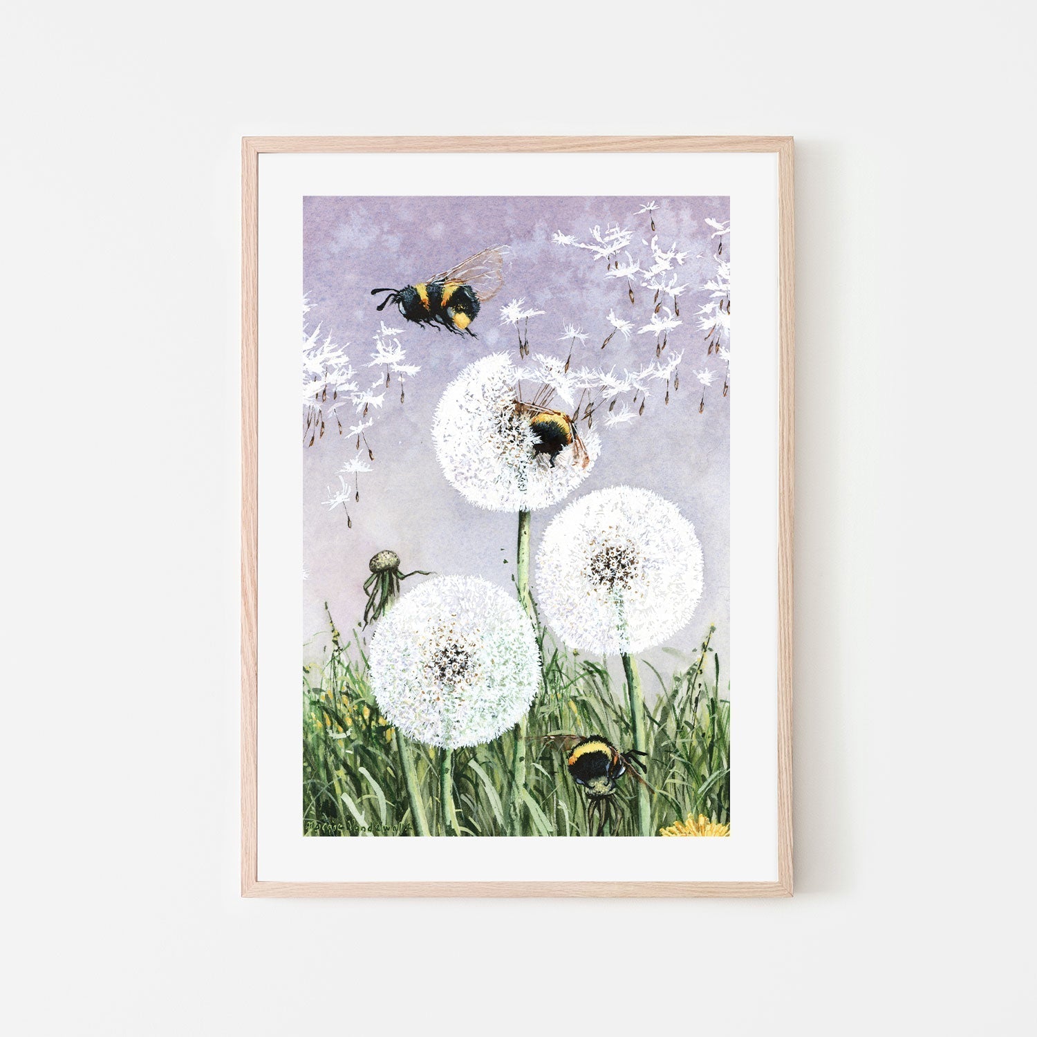 wall-art-print-canvas-poster-framed-Dandybees , By Maggie Vandewalle-GIOIA-WALL-ART