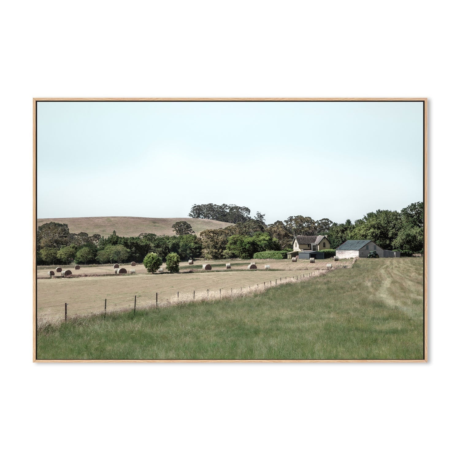 wall-art-print-canvas-poster-framed-Daylesford Hay Bales, Style A , By Tricia Brennan-GIOIA-WALL-ART