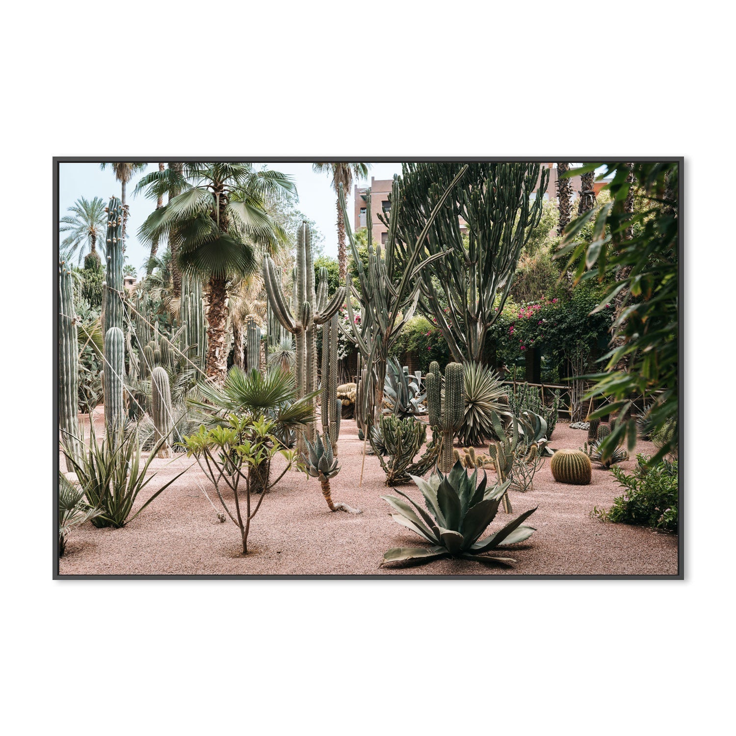 wall-art-print-canvas-poster-framed-Desert Flora Of Morocco , By Josh Silver-3