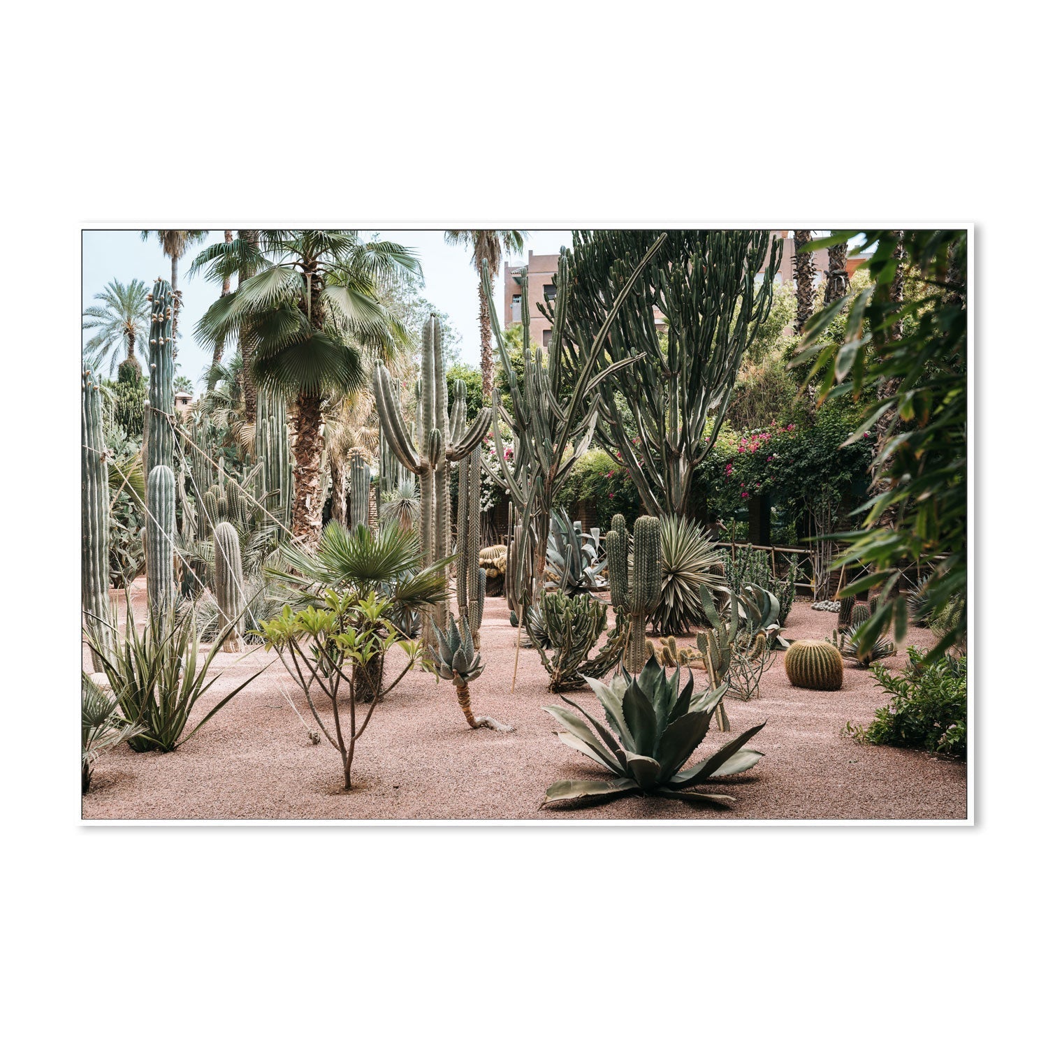 wall-art-print-canvas-poster-framed-Desert Flora Of Morocco , By Josh Silver-5