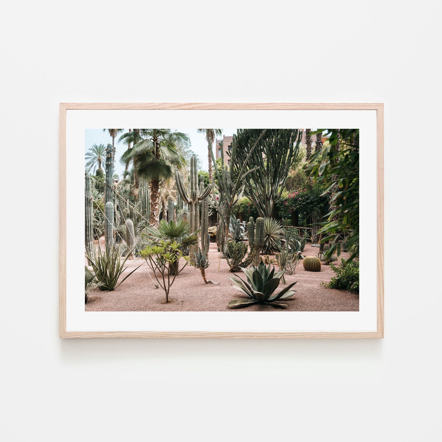 wall-art-print-canvas-poster-framed-Desert Flora Of Morocco , By Josh Silver-6