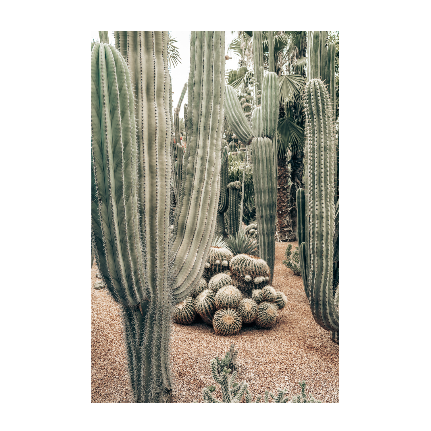 wall-art-print-canvas-poster-framed-Desert Oasis , By Josh Silver-1