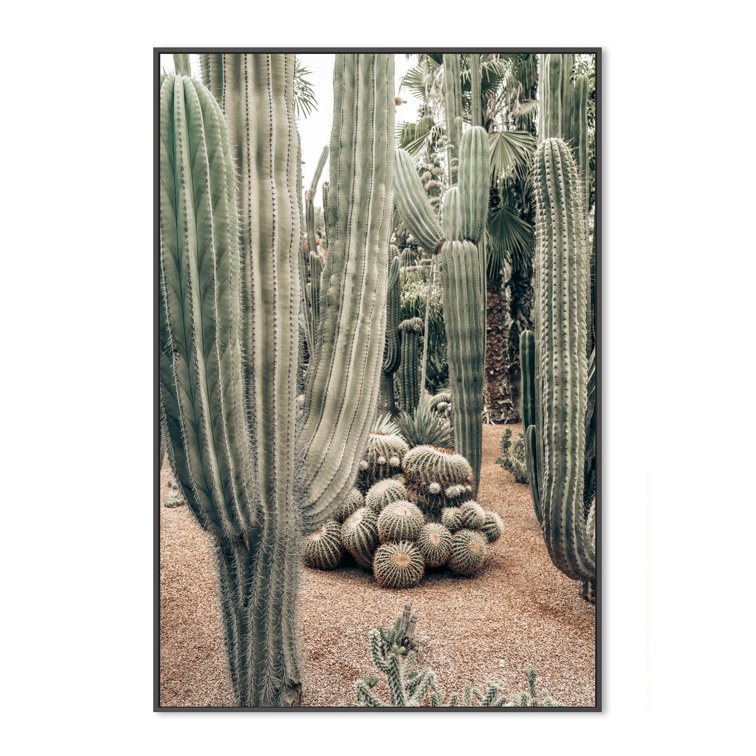 wall-art-print-canvas-poster-framed-Desert Oasis , By Josh Silver-3