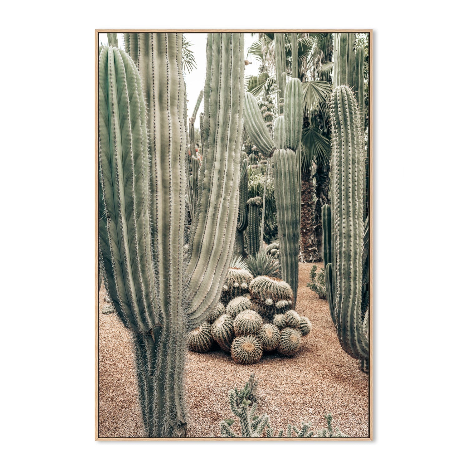 wall-art-print-canvas-poster-framed-Desert Oasis , By Josh Silver-4