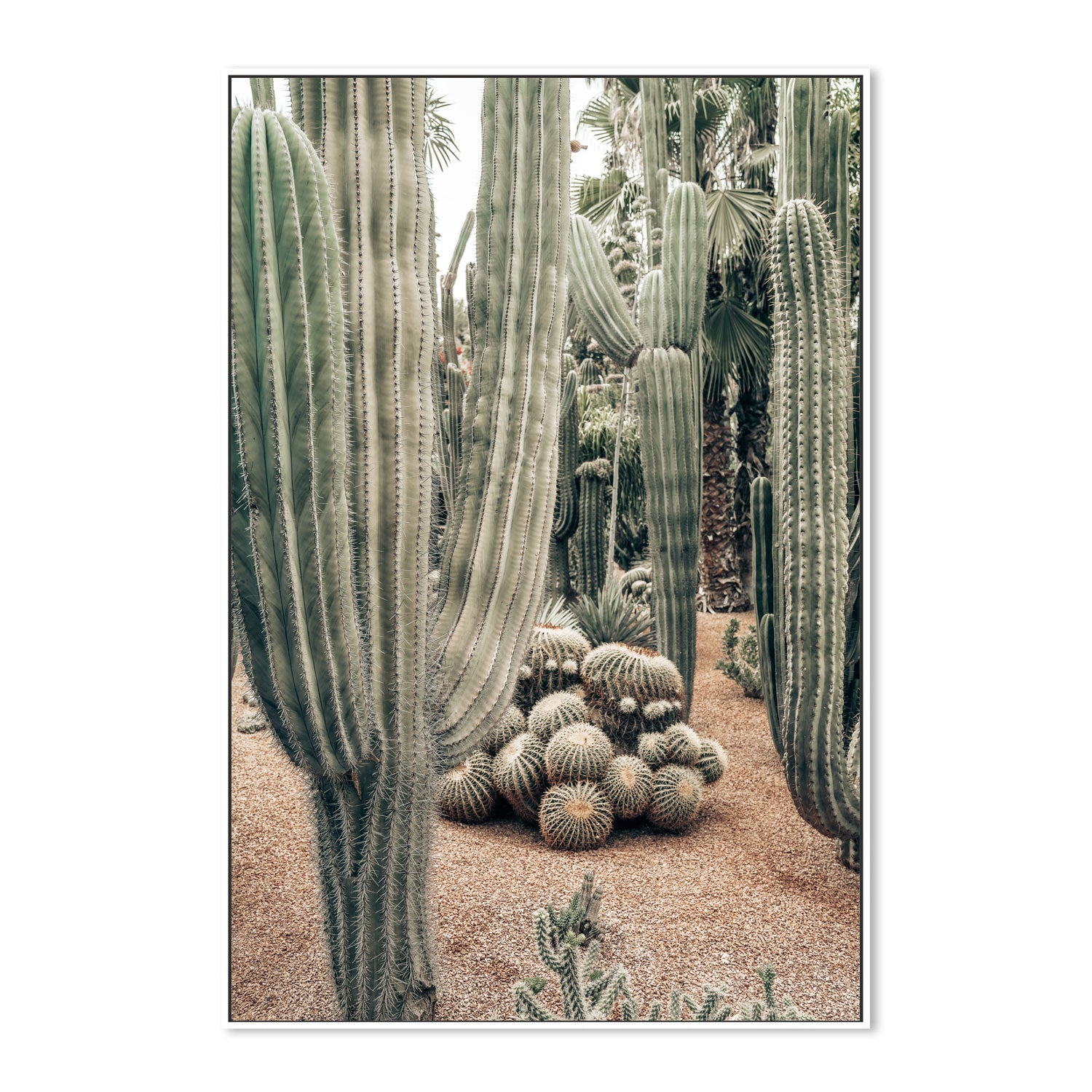 wall-art-print-canvas-poster-framed-Desert Oasis , By Josh Silver-5