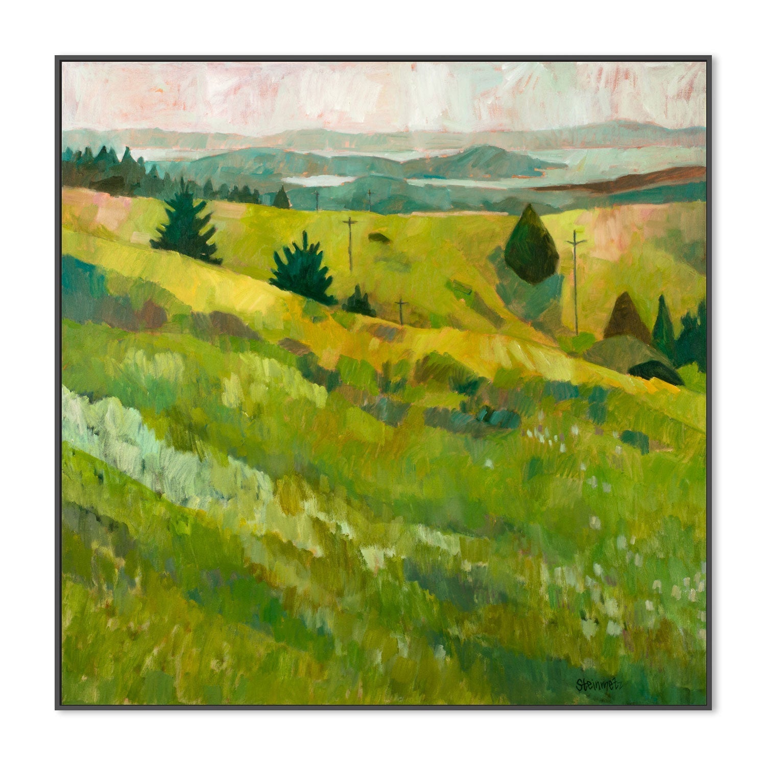 wall-art-print-canvas-poster-framed-Dipsea Spring Pop , By Liana Steinmetz-3