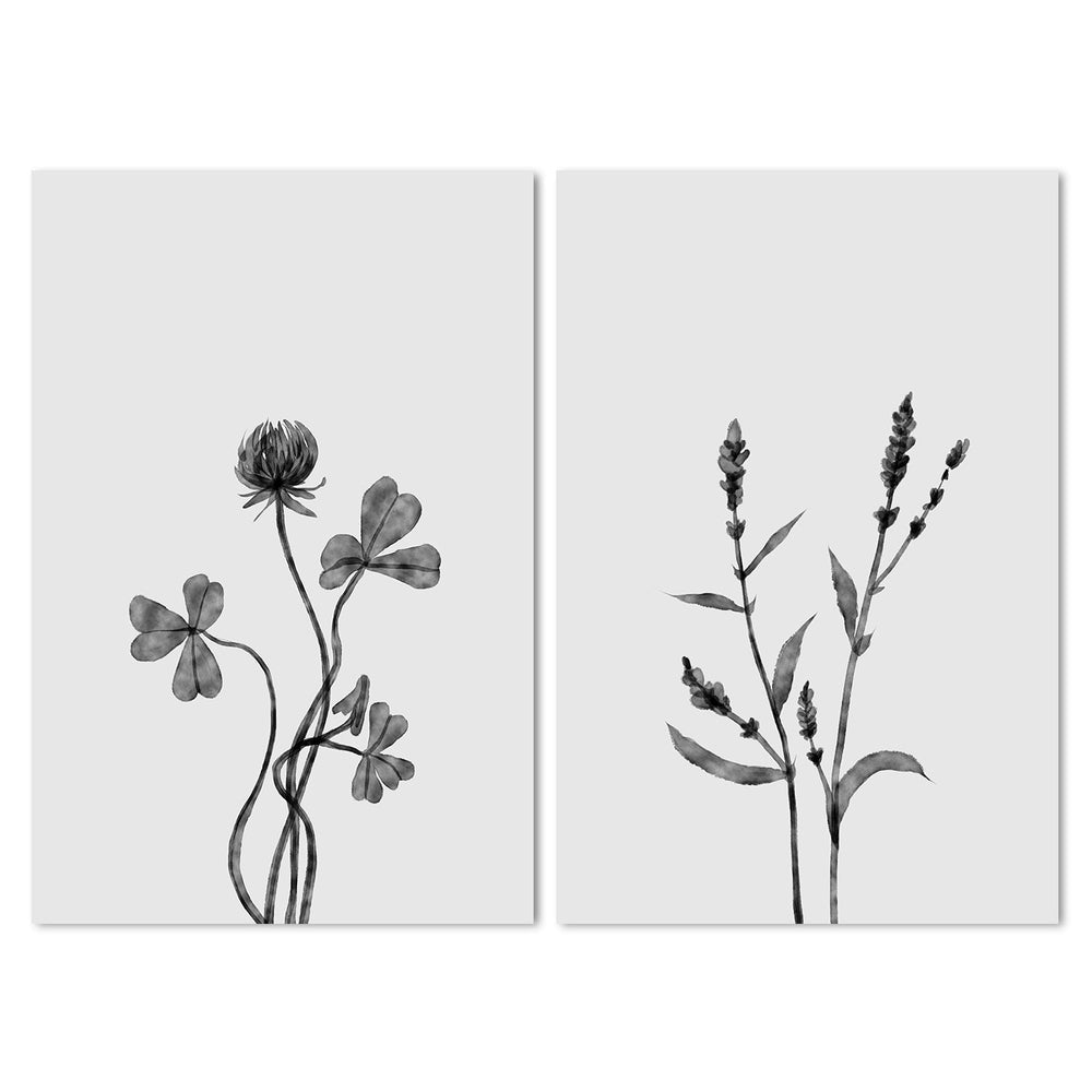 wall-art-print-canvas-poster-framed-Dutch Clover And Orache, Set Of 2, Style A , By Dan Hobday-by-Dan Hobday-Gioia Wall Art