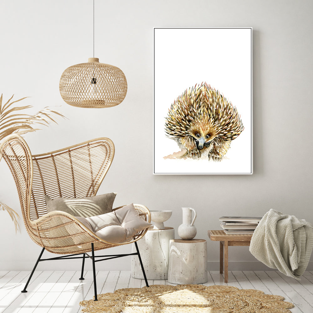 wall-art-print-canvas-poster-framed-Echidna , By Jessie Mitchelson-GIOIA-WALL-ART