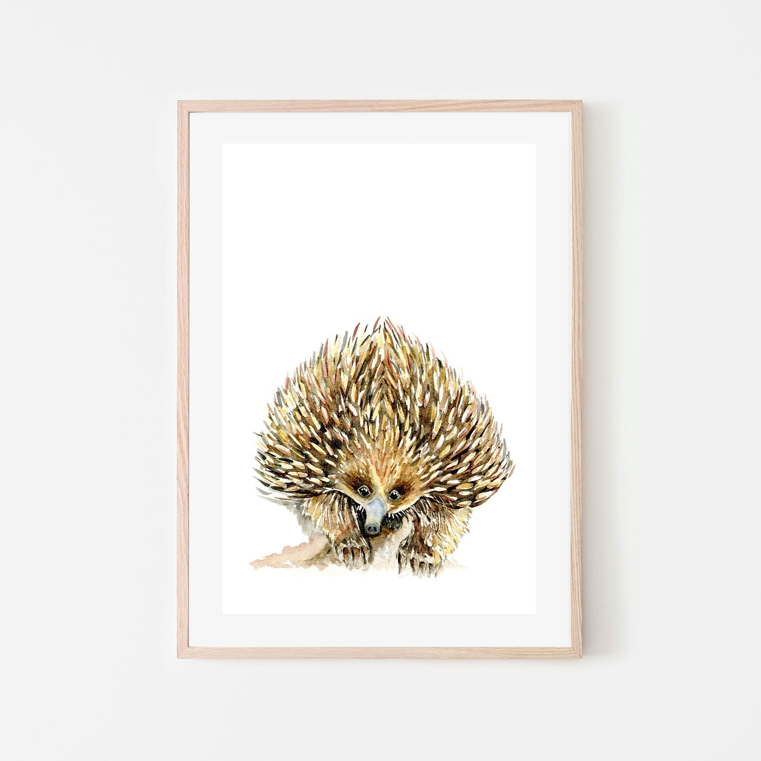 wall-art-print-canvas-poster-framed-Echidna , By Jessie Mitchelson-GIOIA-WALL-ART