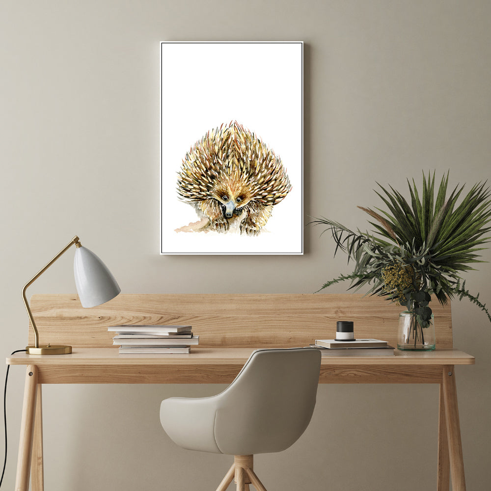 wall-art-print-canvas-poster-framed-Echidna , By Jessie Mitchelson-GIOIA-WALL-ART