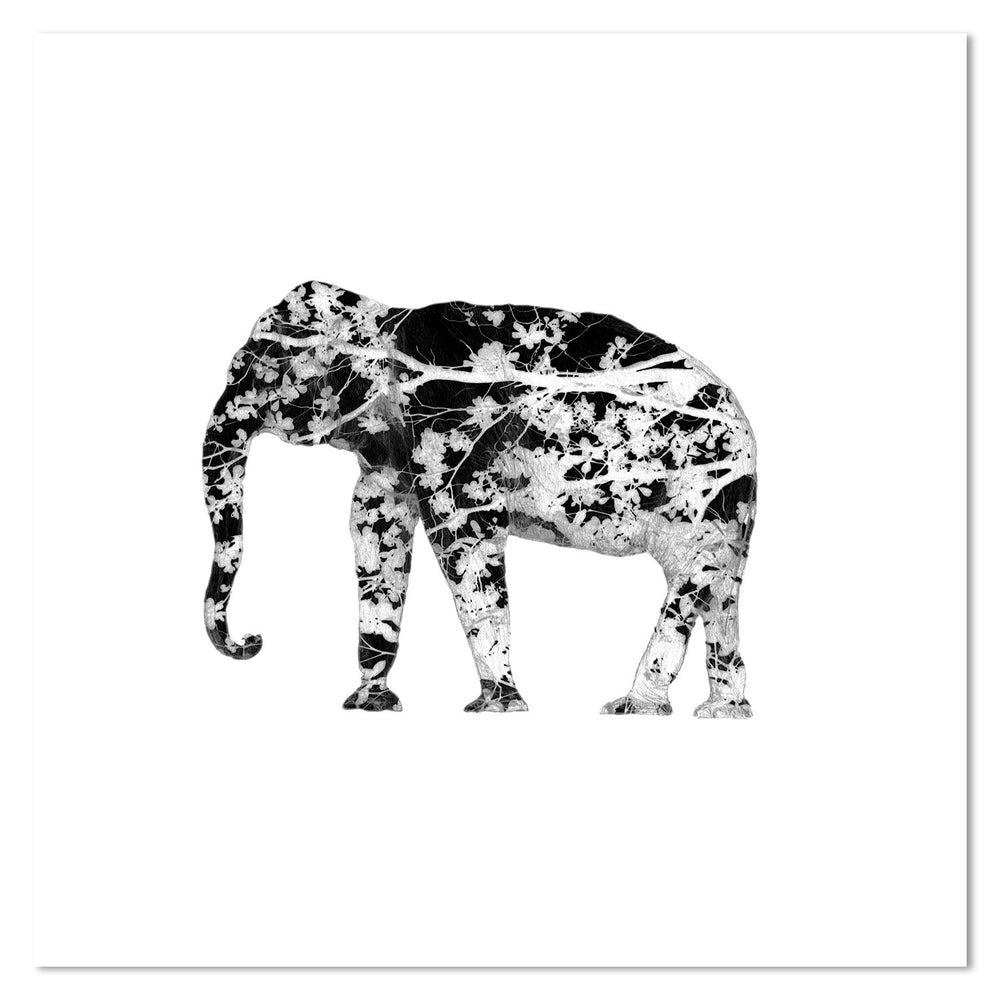 wall-art-print-canvas-poster-framed-Elephant Tree, Style B-by-Danushka Abeygoda-Gioia Wall Art