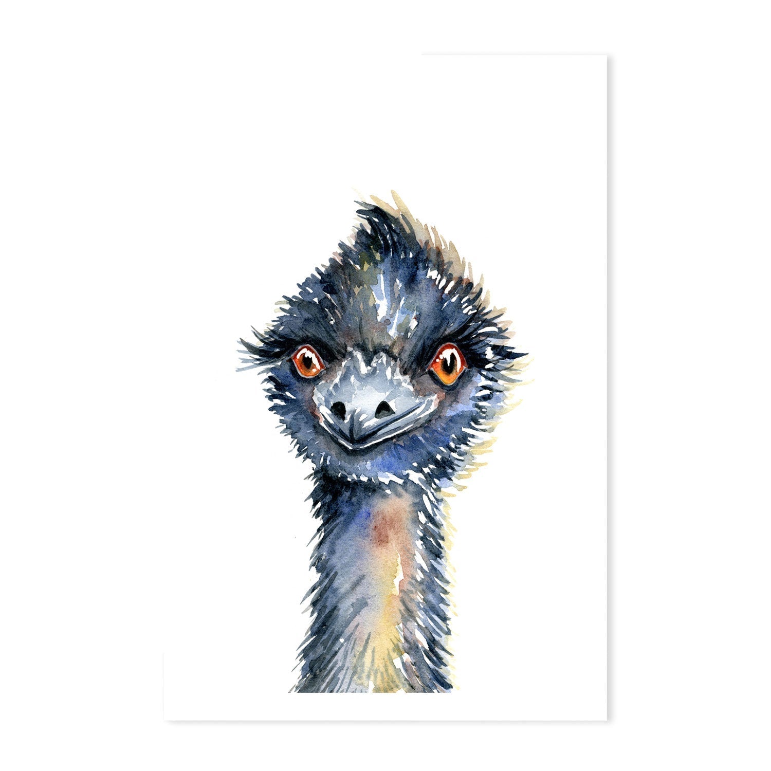 wall-art-print-canvas-poster-framed-Emu , By Jessie Mitchelson-GIOIA-WALL-ART