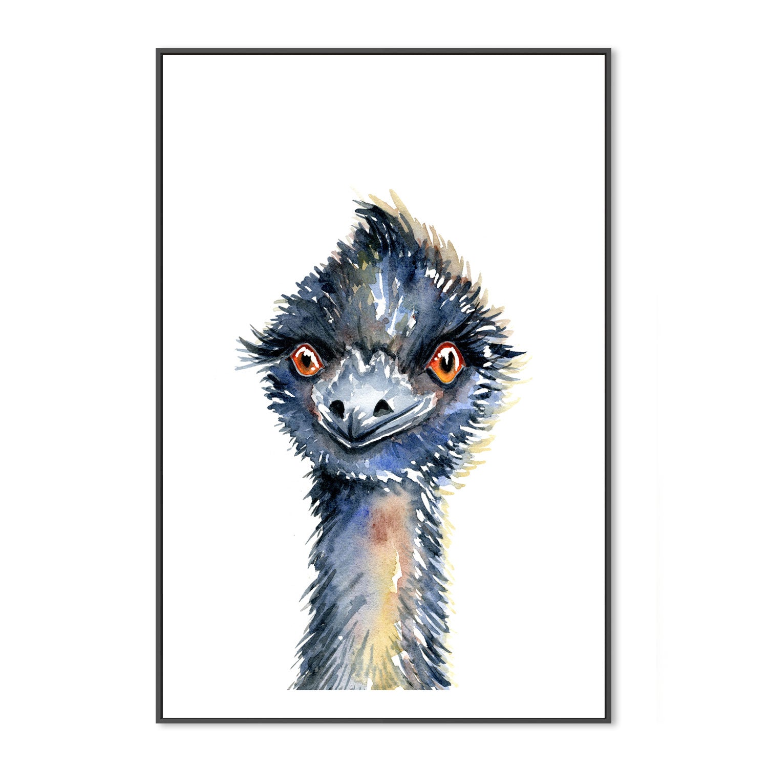 wall-art-print-canvas-poster-framed-Emu , By Jessie Mitchelson-GIOIA-WALL-ART