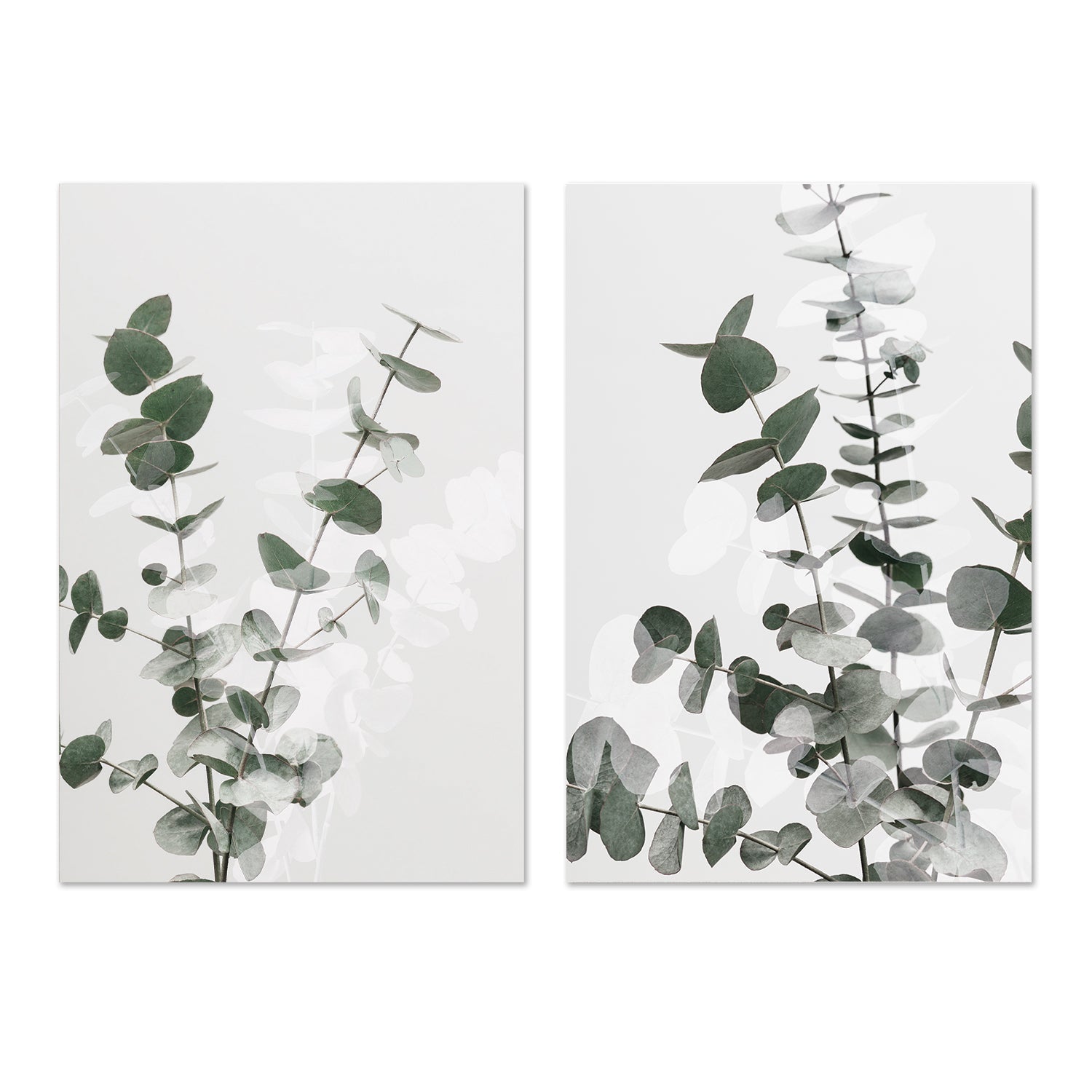 wall-art-print-canvas-poster-framed-Eucalyptus Creative, Set Of 2-by-Plus X Studio-Gioia Wall Art