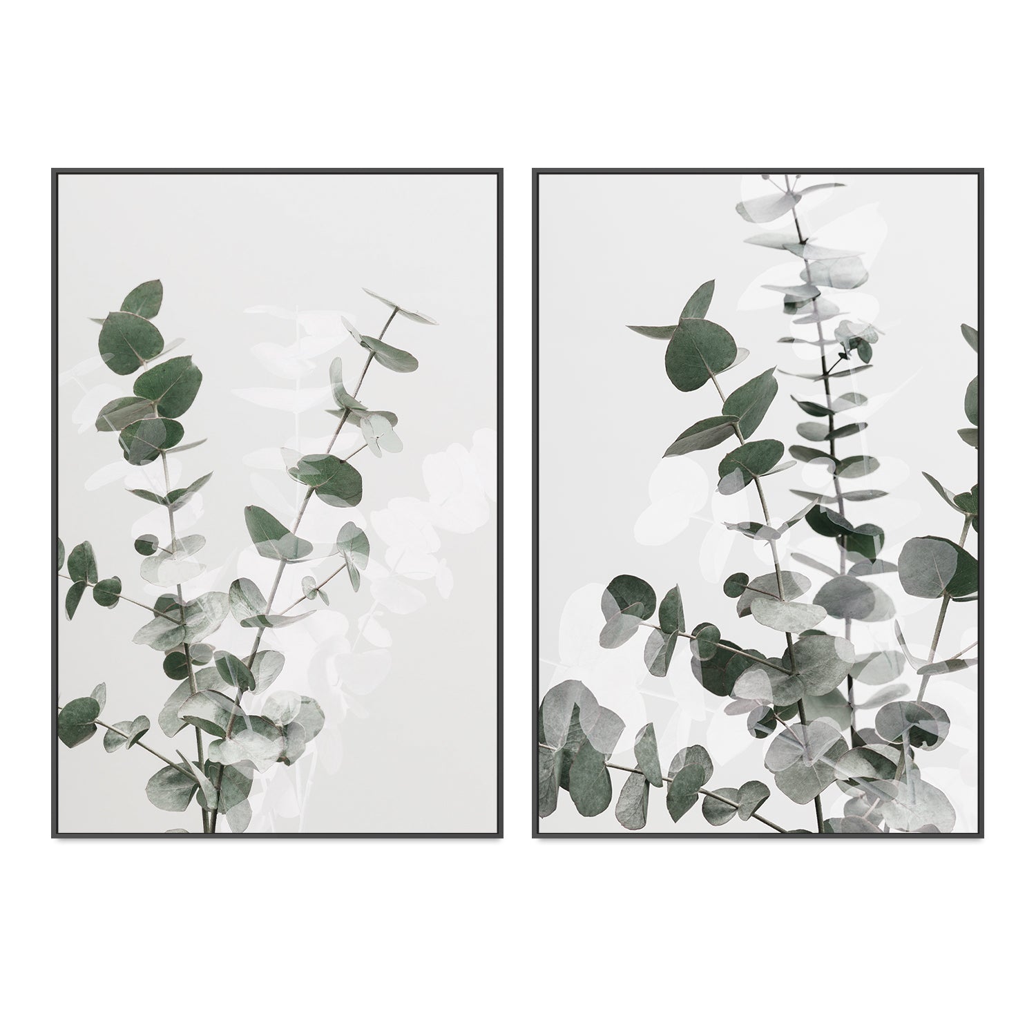 wall-art-print-canvas-poster-framed-Eucalyptus Creative, Set Of 2-by-Plus X Studio-Gioia Wall Art