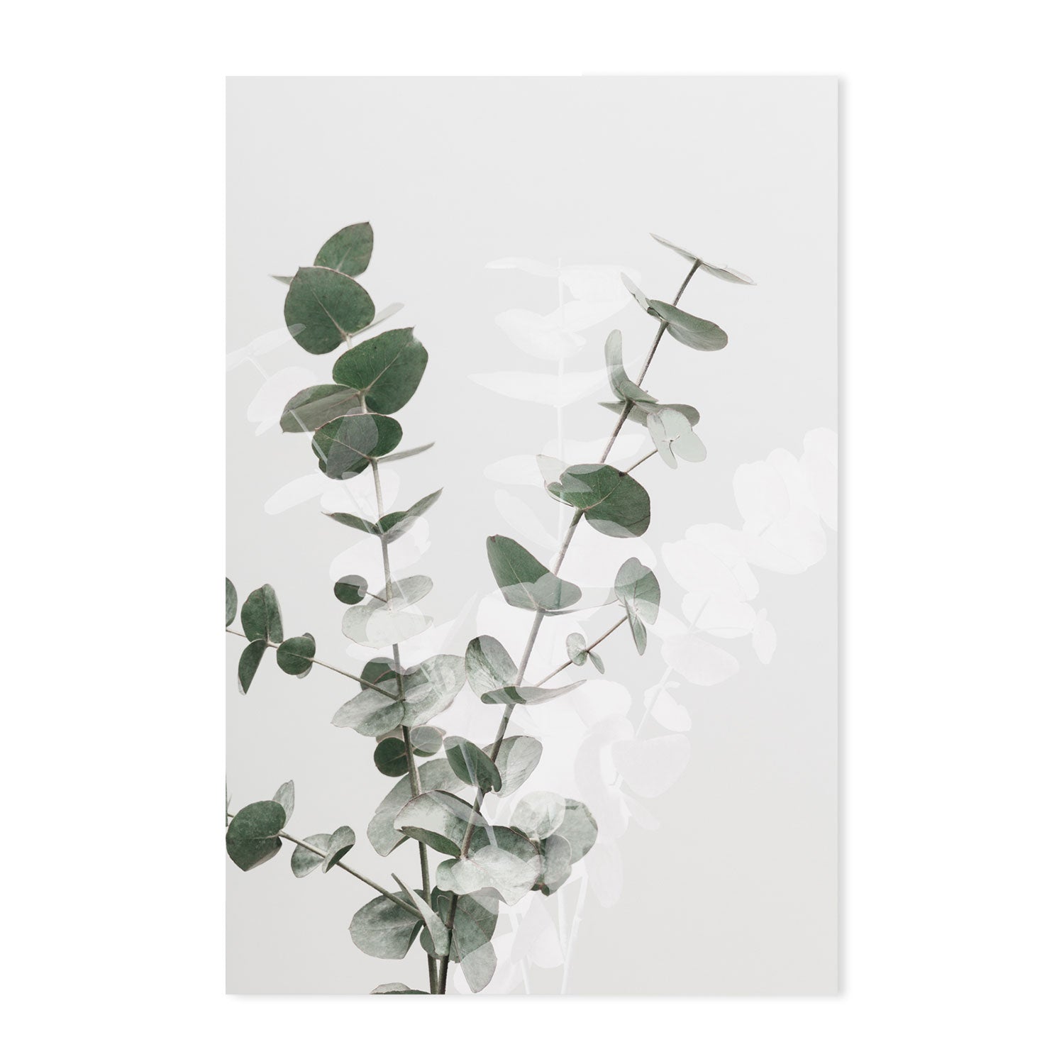 wall-art-print-canvas-poster-framed-Eucalyptus Creative, Set Of 2-by-Plus X Studio-Gioia Wall Art